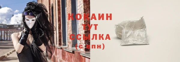 стаф Сатка