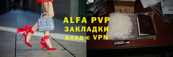 стаф Сатка